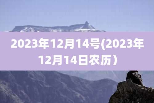 2023年12月14号(2023年12月14日农历）