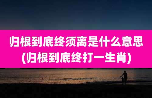 归根到底终须离是什么意思(归根到底终打一生肖)