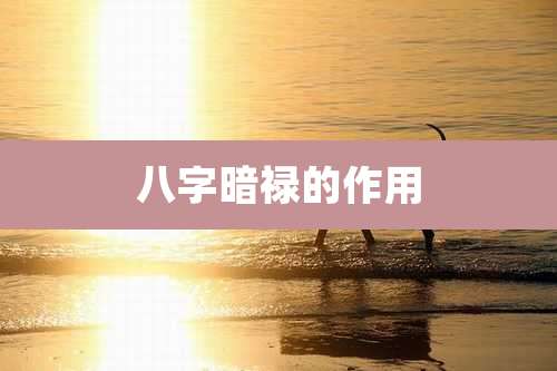 八字暗禄的作用