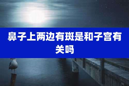 鼻子上两边有斑是和子宫有关吗