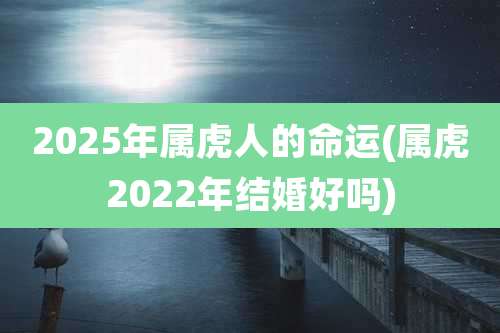 2025年属虎人的命运(属虎2022年结婚好吗)