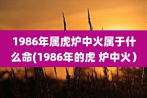1986年属虎炉中火属于什么命(1986年的虎 炉中火)