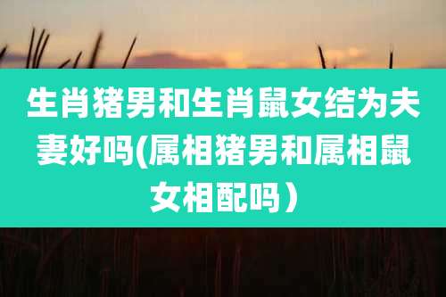 生肖猪男和生肖鼠女结为夫妻好吗(属相猪男和属相鼠女相配吗)