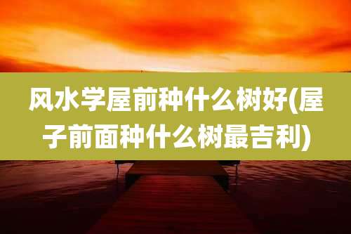 风水学屋前种什么树好(屋子前面种什么树最吉利)