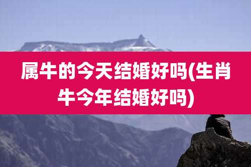 属牛的今天结婚好吗(生肖牛今年结婚好吗)