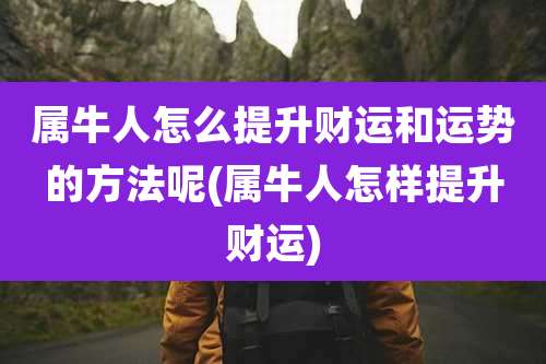 属牛人怎么提升财运和运势的方法呢(属牛人怎样提升财运)