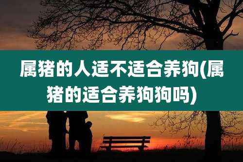 属猪的人适不适合养狗(属猪的适合养狗狗吗)