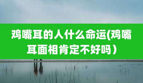 鸡嘴耳的人什么命运(鸡嘴耳面相肯定不好吗）