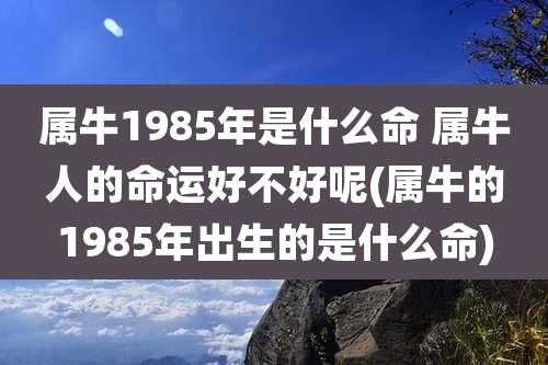 属牛1985年是什么命 属牛人的命运好不好呢(属牛的1985年出生的是什么命)