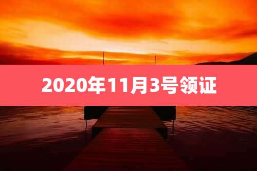2020年11月3号领证
