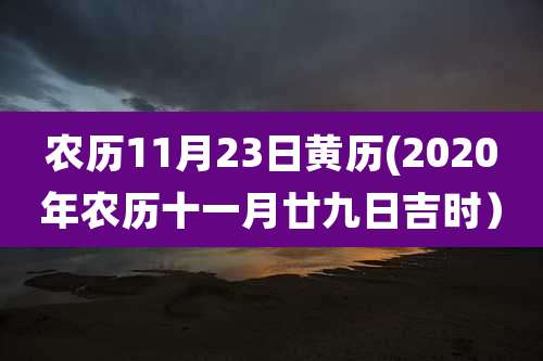 农历11月23日黄历(2020年农历十一月廿九日吉时）