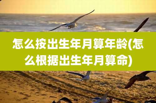 怎么按出生年月算年龄(怎么根据出生年月算命)