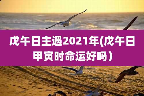 戊午日主遇2021年(戊午日甲寅时命运好吗）
