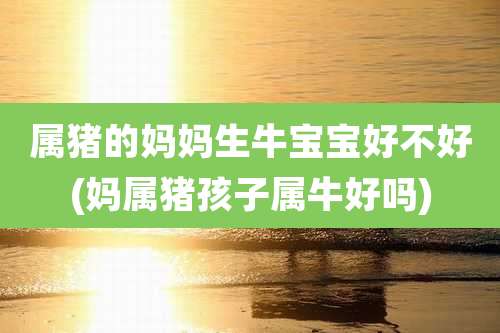 属猪的妈妈生牛宝宝好不好(妈属猪孩子属牛好吗)