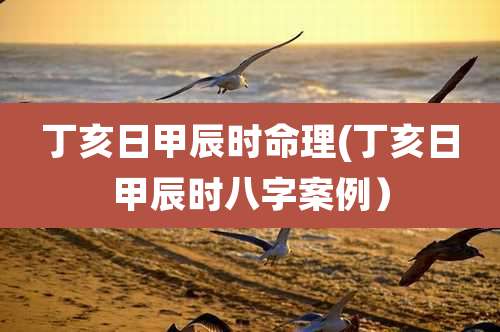 丁亥日甲辰时命理(丁亥日甲辰时八字案例）
