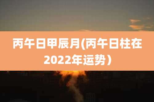 丙午日甲辰月(丙午日柱在2022年运势）