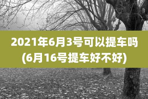 2021年6月3号可以提车吗(6月16号提车好不好)
