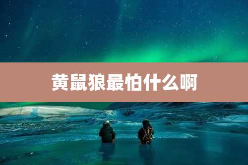 黄鼠狼最怕什么啊