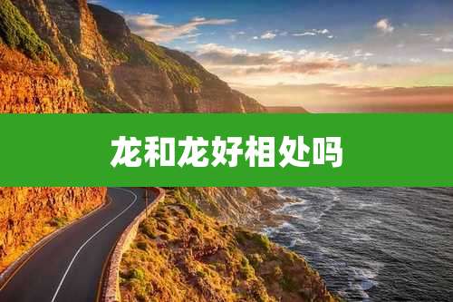 龙和龙好相处吗