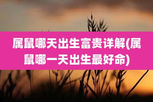 属鼠哪天出生富贵详解(属鼠哪一天出生最好命)