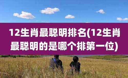 12生肖最聪明排名(12生肖最聪明的是哪个排第一位)