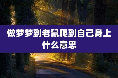 做梦梦到老鼠爬到自己身上什么意思