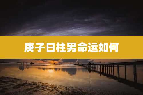 庚子日柱男命运如何