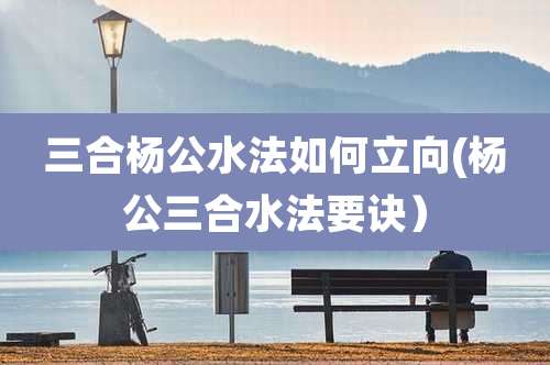 三合杨公水法如何立向(杨公三合水法要诀）
