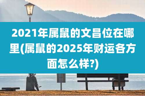 2021年属鼠的文昌位在哪里(属鼠的2025年财运各方面怎么样?)