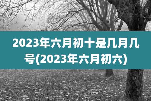 2023年六月初十是几月几号(2023年六月初六)