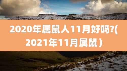 2020年属鼠人11月好吗?(2021年11月属鼠)