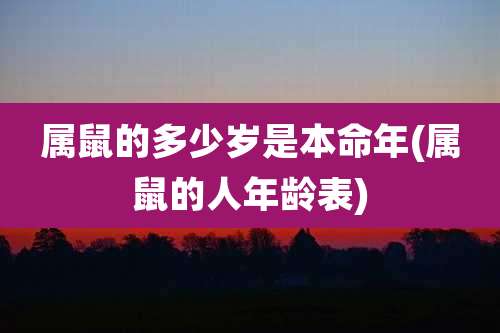属鼠的多少岁是本命年(属鼠的人年龄表)