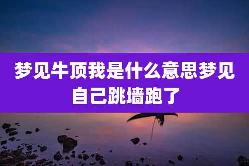 梦见牛顶我是什么意思梦见自己跳墙跑了