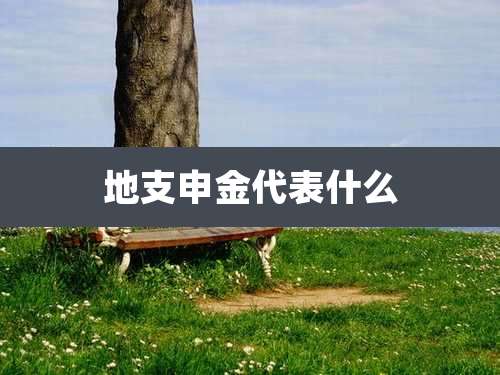 地支申金代表什么