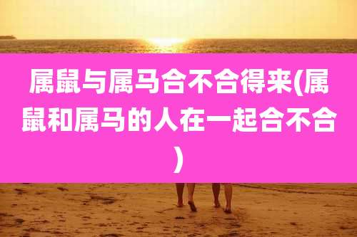 属鼠与属马合不合得来(属鼠和属马的人在一起合不合)