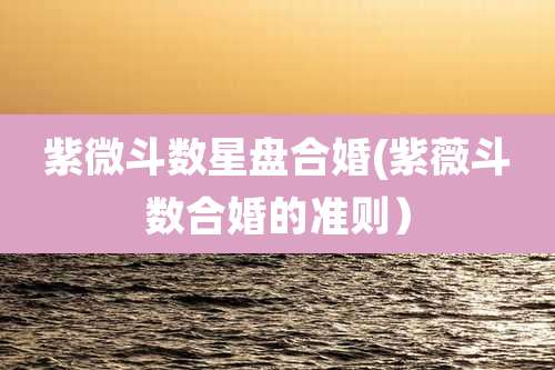 紫微斗数星盘合婚(紫薇斗数合婚的准则)