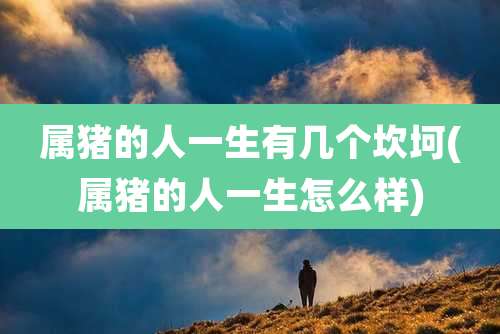 属猪的人一生有几个坎坷(属猪的人一生怎么样)