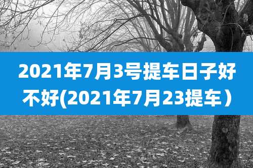 2021年7月3号提车日子好不好(2021年7月23提车）
