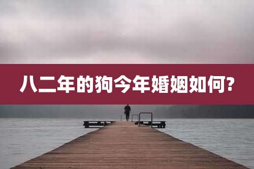 八二年的狗今年婚姻如何?