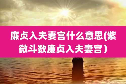 廉贞入夫妻宫什么意思(紫微斗数廉贞入夫妻宫）