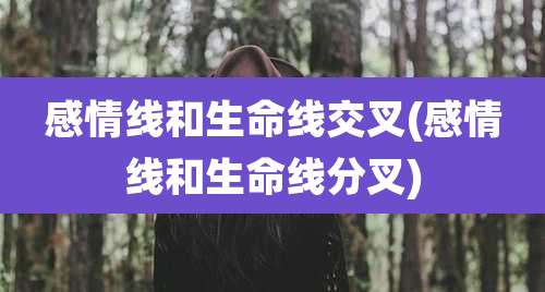感情线和生命线交叉(感情线和生命线分叉)