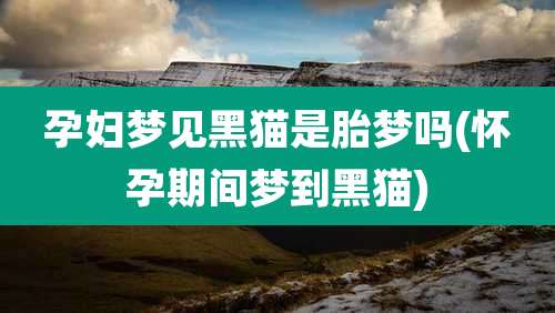 孕妇梦见黑猫是胎梦吗(怀孕期间梦到黑猫)
