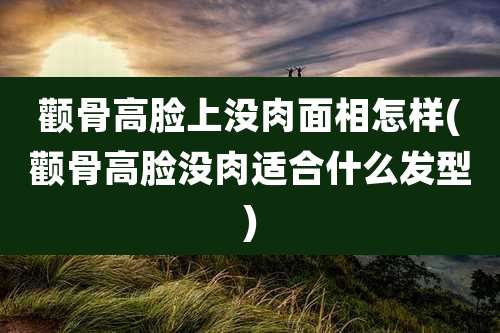 颧骨高脸上没肉面相怎样(颧骨高脸没肉适合什么发型)