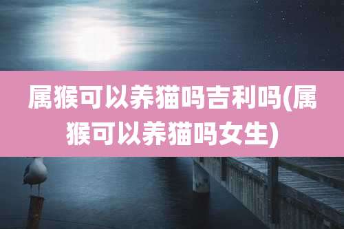 属猴可以养猫吗吉利吗(属猴可以养猫吗女生)