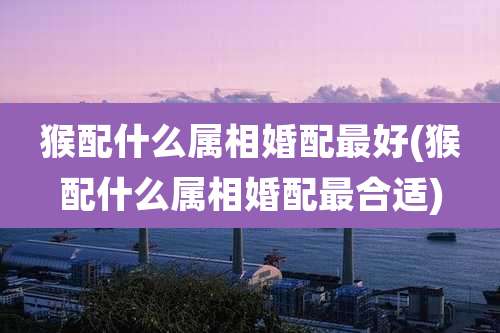 猴配什么属相婚配最好(猴配什么属相婚配最合适)