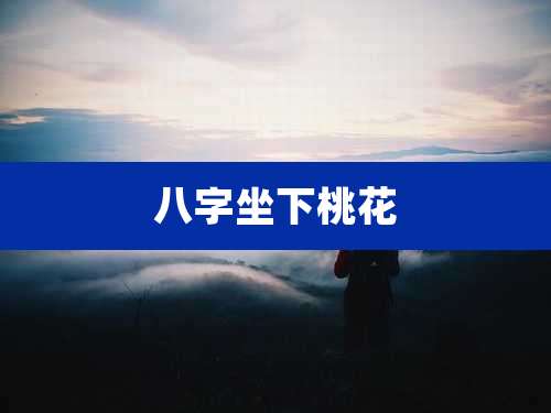 八字坐下桃花