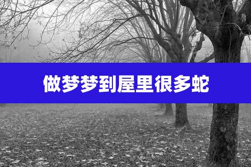 做梦梦到屋里很多蛇