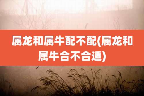 属龙和属牛配不配(属龙和属牛合不合适)