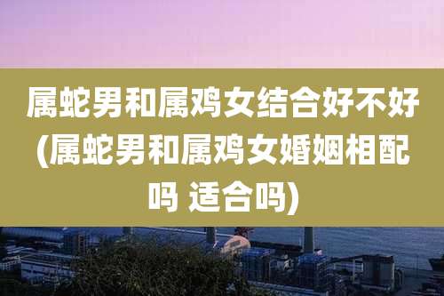 属蛇男和属鸡女结合好不好(属蛇男和属鸡女婚姻相配吗 适合吗)