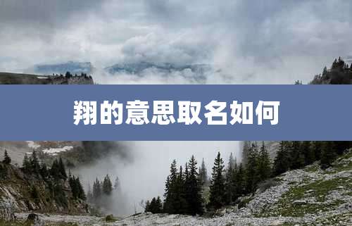 翔的意思取名如何